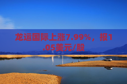 龙运国际上涨7.99%，报1.05美元/股