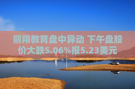 丽翔教育盘中异动 下午盘股价大跌5.06%报5.23美元