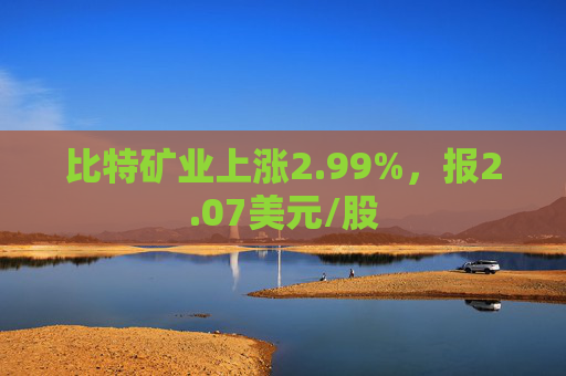 比特矿业上涨2.99%，报2.07美元/股