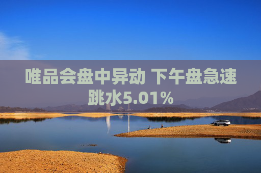 唯品会盘中异动 下午盘急速跳水5.01%