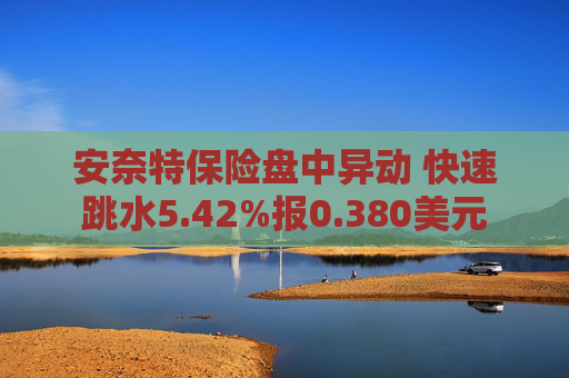安奈特保险盘中异动 快速跳水5.42%报0.380美元