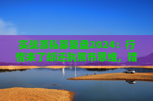 实战派私募复盘2024：行情来了却还执熊市思维，错失5倍大牛股！展望2025：看好两大板块！