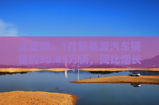 比亚迪：1月新能源汽车销量约30.05万辆，同比增长49.16%