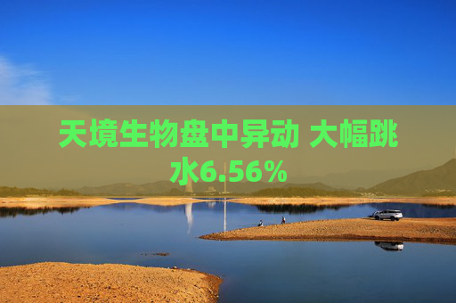 天境生物盘中异动 大幅跳水6.56%
