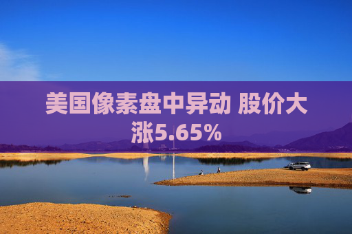 美国像素盘中异动 股价大涨5.65%