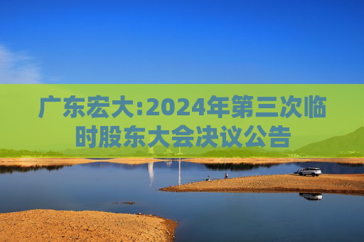 广东宏大:2024年第三次临时股东大会决议公告
