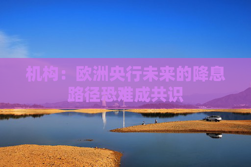 机构：欧洲央行未来的降息路径恐难成共识