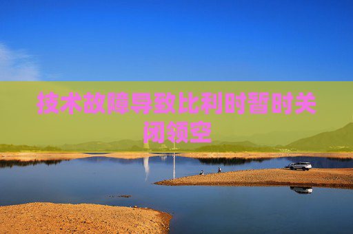 技术故障导致比利时暂时关闭领空