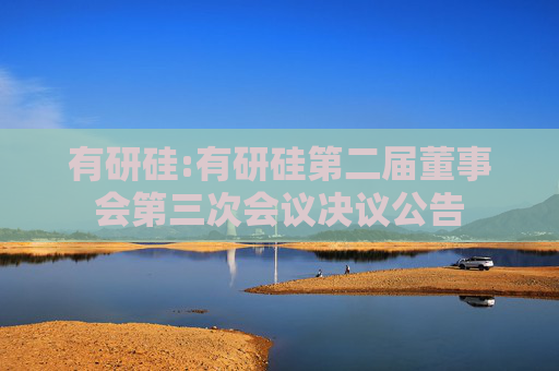 有研硅:有研硅第二届董事会第三次会议决议公告