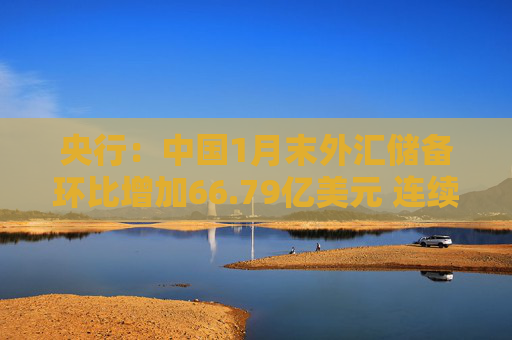 央行：中国1月末外汇储备环比增加66.79亿美元 连续三个月增持黄金