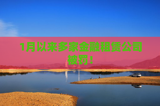1月以来多家金融租赁公司被罚！