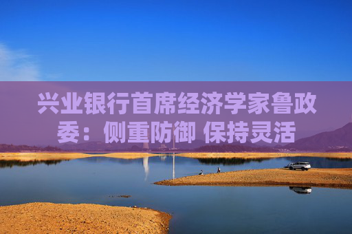 兴业银行首席经济学家鲁政委：侧重防御 保持灵活