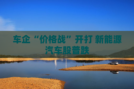 车企“价格战”开打 新能源汽车股普跌