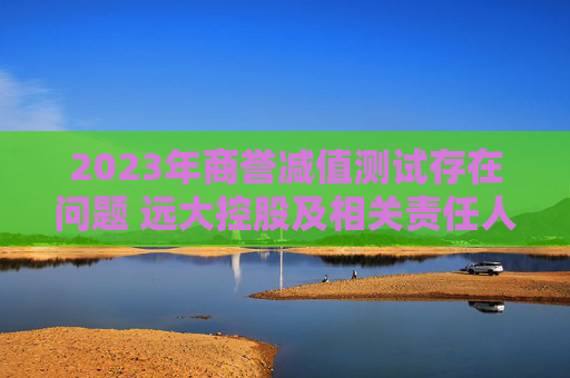 2023年商誉减值测试存在问题 远大控股及相关责任人收警示函