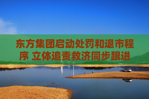 东方集团启动处罚和退市程序 立体追责救济同步跟进