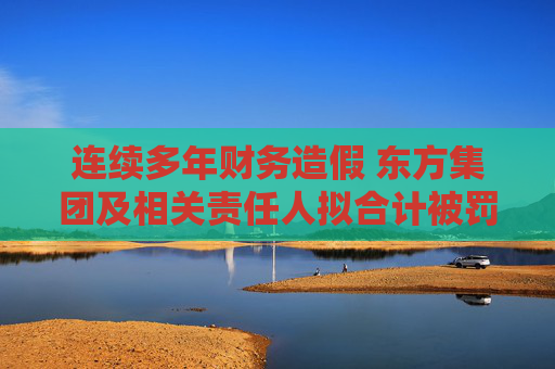 连续多年财务造假 东方集团及相关责任人拟合计被罚3900万元