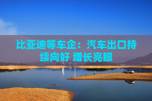 比亚迪等车企：汽车出口持续向好 增长亮眼