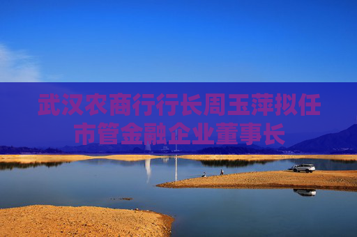 武汉农商行行长周玉萍拟任市管金融企业董事长