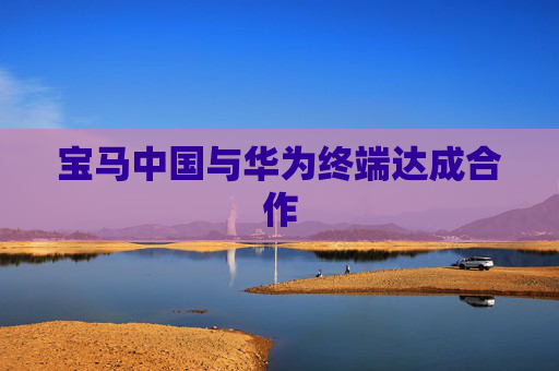 宝马中国与华为终端达成合作