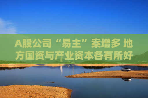 A股公司“易主”案增多 地方国资与产业资本各有所好
