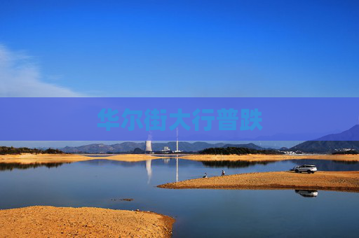 华尔街大行普跌