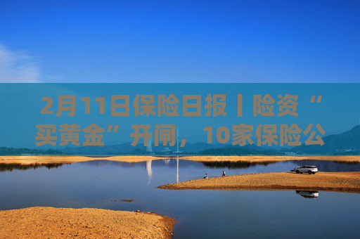 2月11日保险日报丨险资“买黄金”开闸，10家保险公司先行！行业净资产大涨21%，多家银行系险企却现“腰斩”