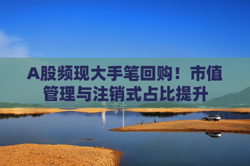 A股频现大手笔回购！市值管理与注销式占比提升