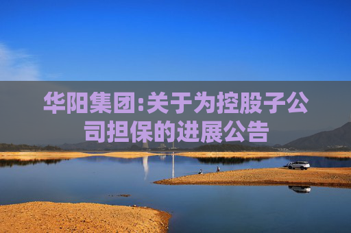 华阳集团:关于为控股子公司担保的进展公告