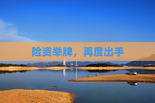 险资举牌，再度出手