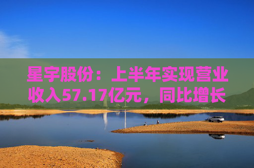 星宇股份：上半年实现营业收入57.17亿元，同比增长29.20%