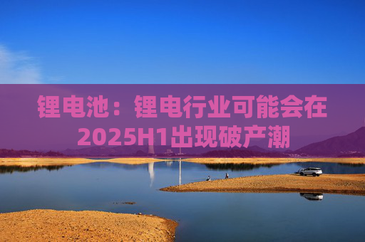 锂电池：锂电行业可能会在2025H1出现破产潮