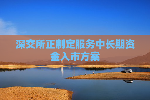 深交所正制定服务中长期资金入市方案