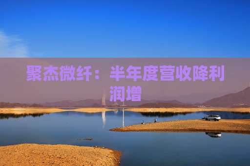 聚杰微纤：半年度营收降利润增