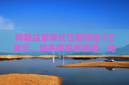 特斯拉董事长已套现逾5亿美元，知名投资者痛批：她被收买了，只代表马斯克