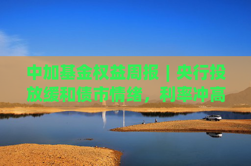 中加基金权益周报︱央行投放缓和债市情绪，利率冲高回落