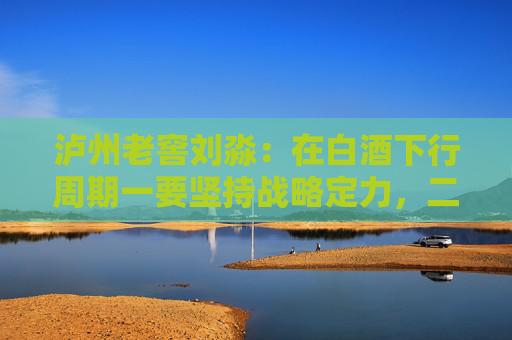 泸州老窖刘淼：在白酒下行周期一要坚持战略定力，二要与时俱进