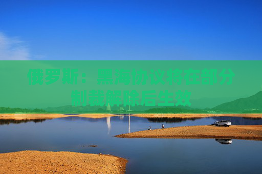 俄罗斯：黑海协议将在部分制裁解除后生效