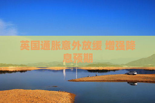英国通胀意外放缓 增强降息预期
