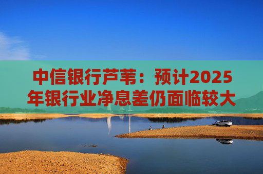 中信银行芦苇：预计2025年银行业净息差仍面临较大下降压力