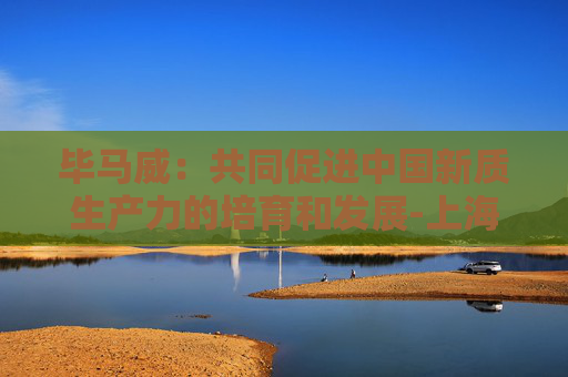 毕马威：共同促进中国新质生产力的培育和发展-上海证券报·中国证券网