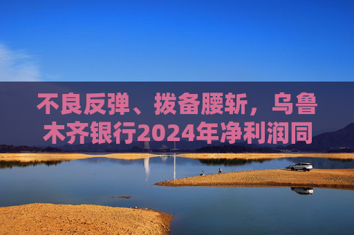 不良反弹、拨备腰斩，乌鲁木齐银行2024年净利润同比下滑9.54％
