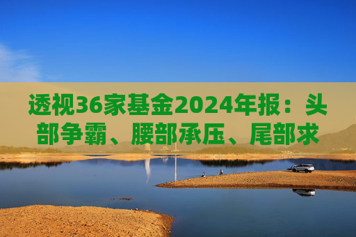 透视36家基金2024年报：头部争霸、腰部承压、尾部求生