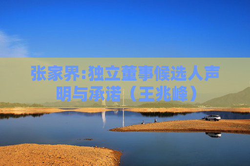 张家界:独立董事候选人声明与承诺（王兆峰）