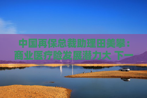 中国再保总裁助理田美攀：商业医疗险发展潜力大 下一步做好产品创新及产业融合