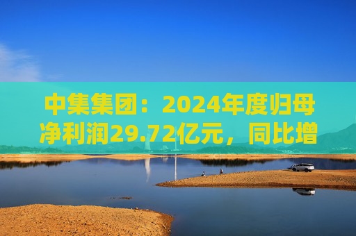 中集集团：2024年度归母净利润29.72亿元，同比增长605.60%