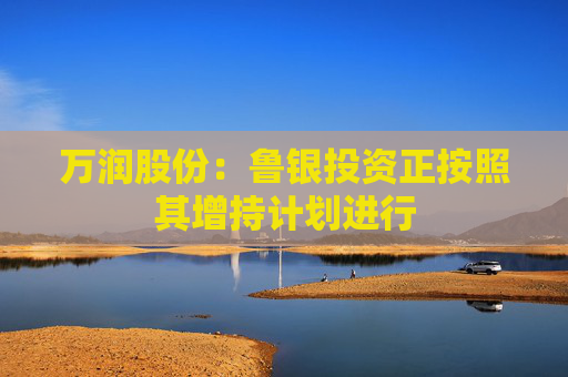 万润股份：鲁银投资正按照其增持计划进行