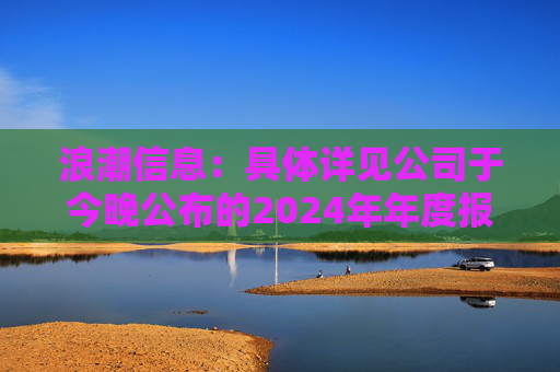 浪潮信息：具体详见公司于今晚公布的2024年年度报告