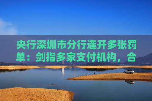 央行深圳市分行连开多张罚单：剑指多家支付机构，合计罚没超1483万元