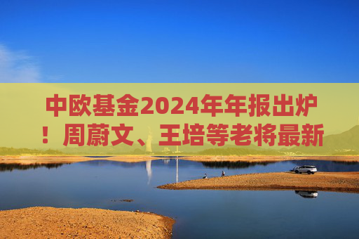中欧基金2024年年报出炉！周蔚文、王培等老将最新观点操作一览