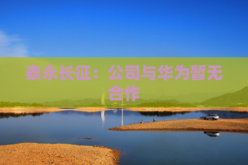 泰永长征：公司与华为暂无合作